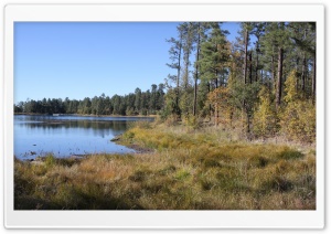 Woodland Lake Park - Arizona Ultra HD Wallpaper for 4K UHD Widescreen Desktop, Lockscreen, Screensaver, TV, Tablet, Smartphone