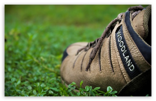 Woodland Shoes UltraHD Wallpaper for UHD 16:9 ; HD 16:9 ; Widescreen 16:10 5:3 ; Fullscreen 3:2 ;