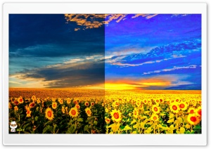 x096 4K UHD Wallpaper for Widescreen and UltraWide Desktop, UltraHD TV, Smartphone, Tablet