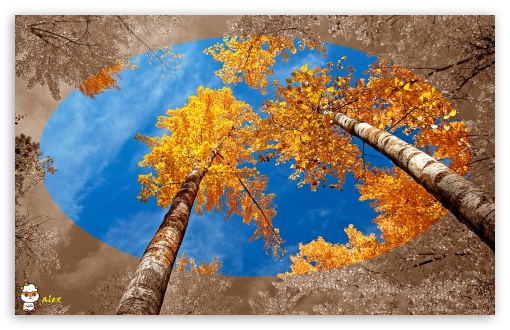 x102 UltraHD Wallpaper for Widescreen 16:10 ;