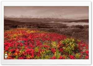 x106 4K UHD Wallpaper for Widescreen and UltraWide Desktop, UltraHD TV, Smartphone, Tablet