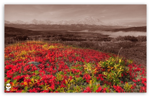 x106 UltraHD Wallpaper for Widescreen 16:10 ;