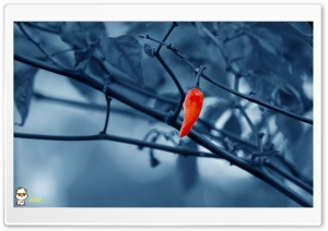 x108 4K UHD Wallpaper for Widescreen and UltraWide Desktop, UltraHD TV, Smartphone, Tablet