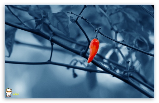 x108 UltraHD Wallpaper for Widescreen 16:10 ;