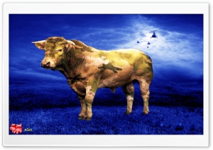 x109 4K UHD Wallpaper for Widescreen and UltraWide Desktop, UltraHD TV, Smartphone, Tablet