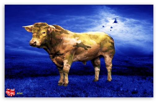 x109 UltraHD Wallpaper for Widescreen 16:10 ;