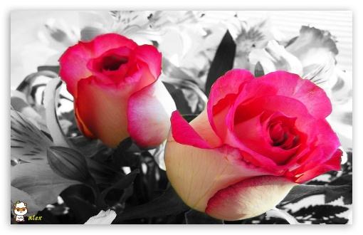 x111 UltraHD Wallpaper for Widescreen 16:10 ;