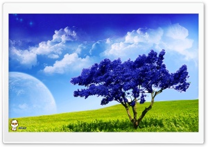 x113 4K UHD Wallpaper for Widescreen and UltraWide Desktop, UltraHD TV, Smartphone, Tablet