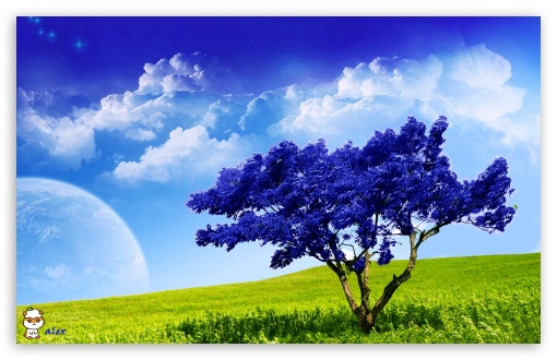 x113 UltraHD Wallpaper for Widescreen 16:10 ;