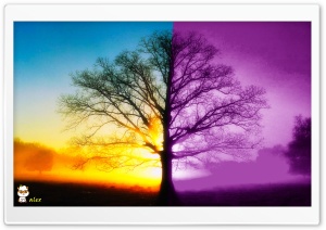 x114 4K UHD Wallpaper for Widescreen and UltraWide Desktop, UltraHD TV, Smartphone, Tablet