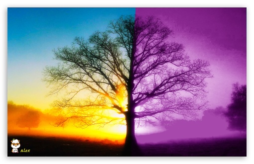 x114 UltraHD Wallpaper for Widescreen 16:10 ;