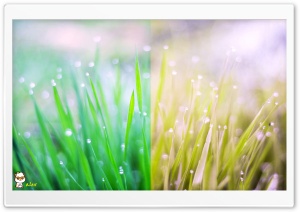 x116 4K UHD Wallpaper for Widescreen and UltraWide Desktop, UltraHD TV, Smartphone, Tablet