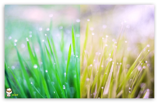 x116 UltraHD Wallpaper for Widescreen 16:10 ;