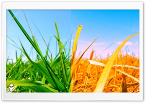 x117 4K UHD Wallpaper for Widescreen and UltraWide Desktop, UltraHD TV, Smartphone, Tablet