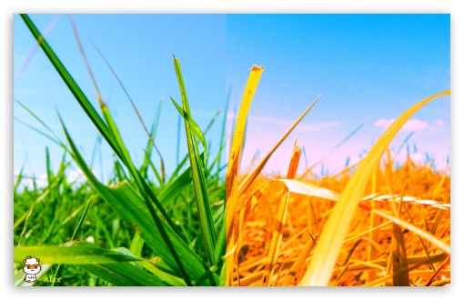 x117 UltraHD Wallpaper for Widescreen 16:10 ;