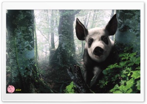 x121 4K UHD Wallpaper for Widescreen and UltraWide Desktop, UltraHD TV, Smartphone, Tablet