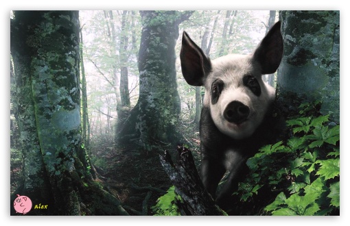 x121 UltraHD Wallpaper for Widescreen 16:10 ;