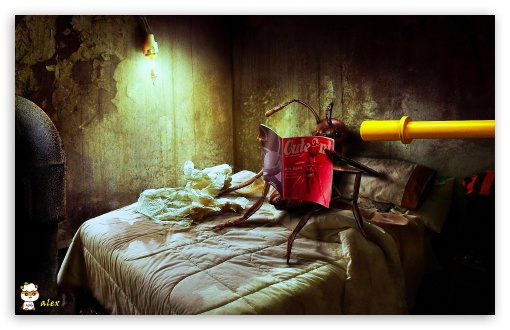 x123 UltraHD Wallpaper for Widescreen 16:10 ;