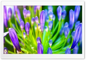 x131 4K UHD Wallpaper for Widescreen and UltraWide Desktop, UltraHD TV, Smartphone, Tablet