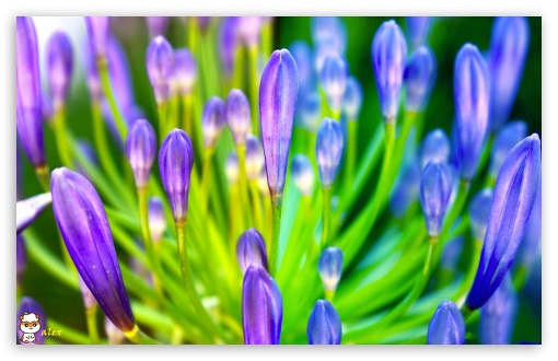 x131 UltraHD Wallpaper for Widescreen 16:10 ;