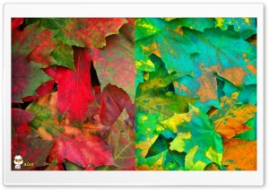 x132 4K UHD Wallpaper for Widescreen and UltraWide Desktop, UltraHD TV, Smartphone, Tablet