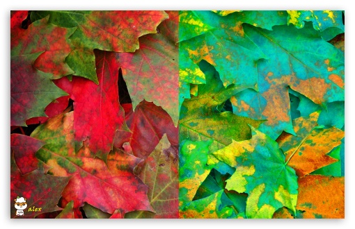 x132 UltraHD Wallpaper for Widescreen 16:10 ;