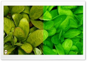 x133 4K UHD Wallpaper for Widescreen and UltraWide Desktop, UltraHD TV, Smartphone, Tablet