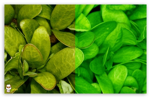 x133 UltraHD Wallpaper for Widescreen 16:10 ;