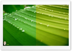 x134 4K UHD Wallpaper for Widescreen and UltraWide Desktop, UltraHD TV, Smartphone, Tablet