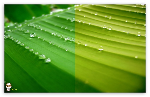 x134 UltraHD Wallpaper for Widescreen 16:10 ;