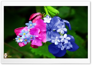 x135 4K UHD Wallpaper for Widescreen and UltraWide Desktop, UltraHD TV, Smartphone, Tablet