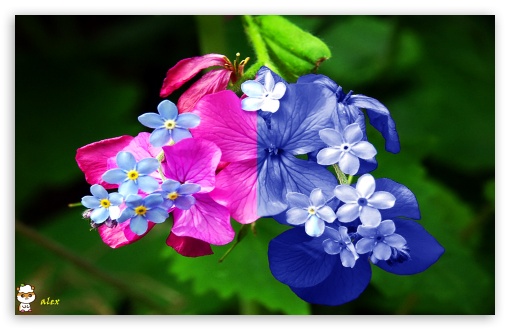 x135 UltraHD Wallpaper for Widescreen 16:10 ;