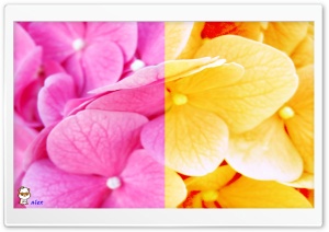 x136 4K UHD Wallpaper for Widescreen and UltraWide Desktop, UltraHD TV, Smartphone, Tablet