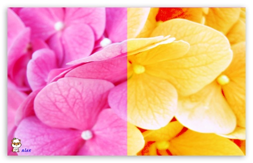 x136 UltraHD Wallpaper for Widescreen 16:10 ;