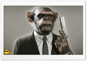 x138 4K UHD Wallpaper for Widescreen and UltraWide Desktop, UltraHD TV, Smartphone, Tablet