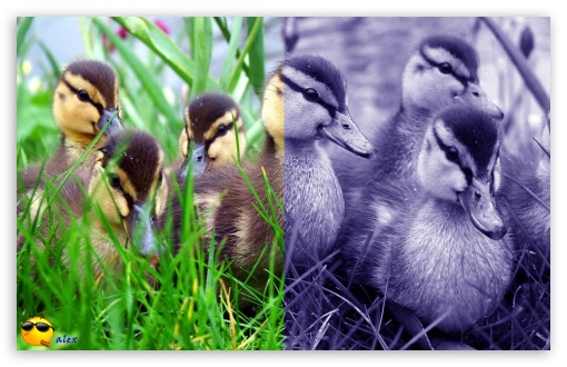 x141 UltraHD Wallpaper for Widescreen 16:10 ;