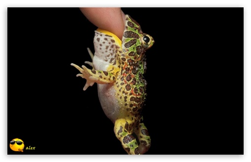 x144 UltraHD Wallpaper for Widescreen 16:10 ;