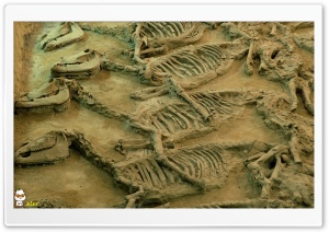 x145 4K UHD Wallpaper for Widescreen and UltraWide Desktop, UltraHD TV, Smartphone, Tablet