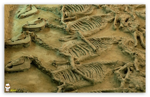 x145 UltraHD Wallpaper for Widescreen 16:10 ;