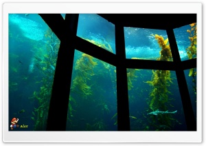 x166 4K UHD Wallpaper for Widescreen and UltraWide Desktop, UltraHD TV, Smartphone, Tablet