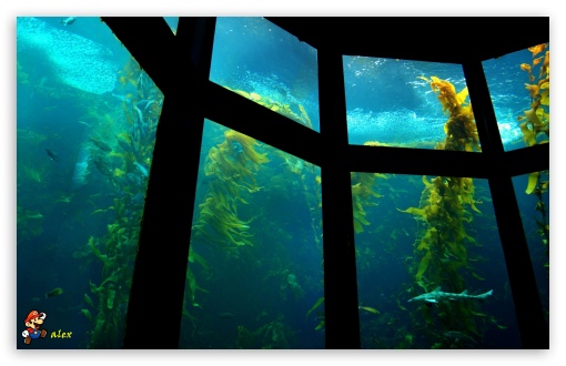 x166 UltraHD Wallpaper for Widescreen 16:10 ;