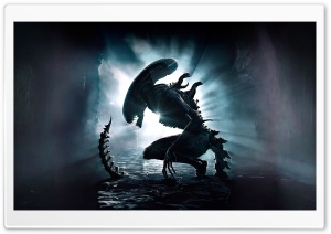 Xenomorph Alien 4K UHD Wallpaper for Widescreen and UltraWide Desktop, UltraHD TV, Smartphone, Tablet