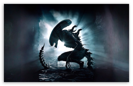 Xenomorph Alien UltraHD Wallpaper for UHD 16:9 ; HD 16:9 ; UltraWide 21:9 24:10 ; Widescreen 16:10 5:3 ; Fullscreen 4:3 5:4 3:2 ; Tablet 1:1 ; Mobile 9:16 9:19.5 9:20 9:21 10:16 2:3 3:5 3:4 ;