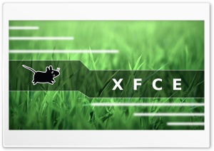 xfce grass smooth Ultra HD Wallpaper for 4K UHD Widescreen desktop, tablet & smartphone
