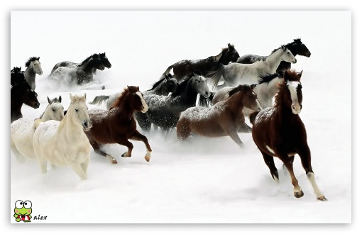 y618 UltraHD Wallpaper for Widescreen 16:10 ;