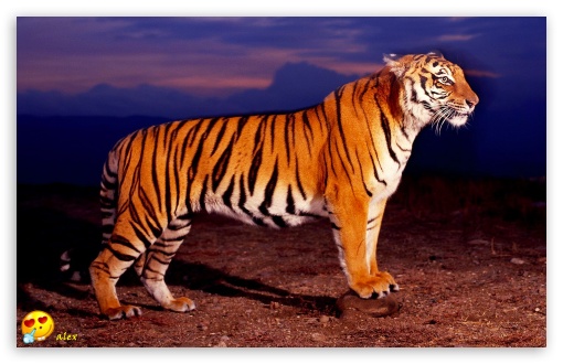 y633 UltraHD Wallpaper for Widescreen 16:10 ;