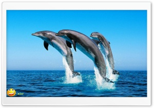 y653 4K UHD Wallpaper for Widescreen and UltraWide Desktop, UltraHD TV, Smartphone, Tablet