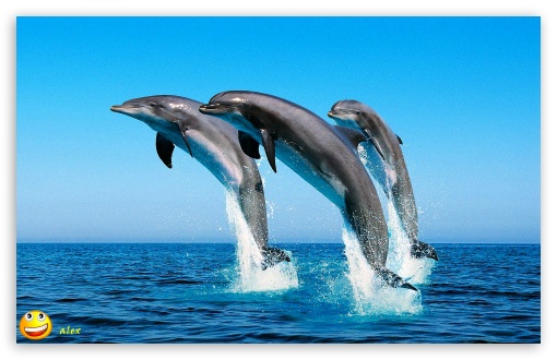 y653 UltraHD Wallpaper for Widescreen 16:10 ;