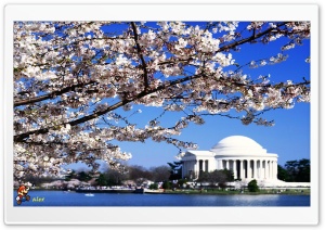 y682 4K UHD Wallpaper for Widescreen and UltraWide Desktop, UltraHD TV, Smartphone, Tablet