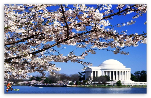 y682 UltraHD Wallpaper for Widescreen 16:10 ;